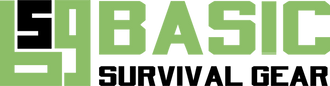 BSG