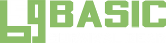 BSG